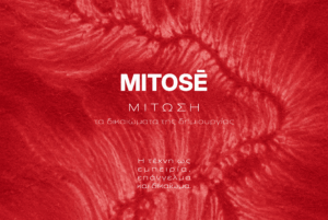 MITOSÉ: Δικαιώματα δημιουργίας - LAB Society × Έαρ